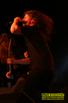 Gallery image 28