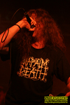 Gallery image 25