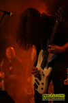 Gallery image 29