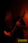 Gallery image 22