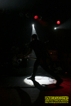 Gallery image 13
