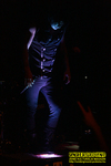 Gallery image 29