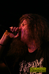 Gallery image 11