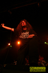 Gallery image 10