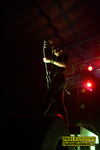 Gallery image 11