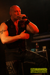 Gallery image 10