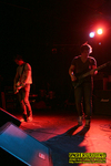 Gallery image 11