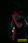 Gallery image 24