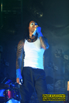 Gallery image 29
