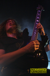 Gallery image 29