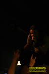 Gallery image 37