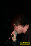 Gallery image 50