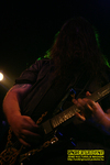 Gallery image 65