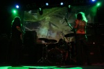 Gallery image 28