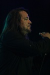 Gallery image 13