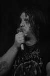 Gallery image 21