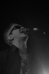 Gallery image 30