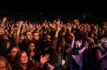 Gallery image 21