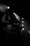 Gallery image 59