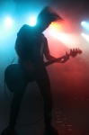 Gallery image 101