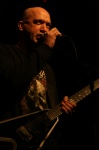Gallery image 38