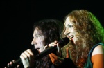 Gallery image 20