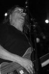 Gallery image 20