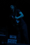 Gallery image 38