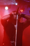 Gallery image 9