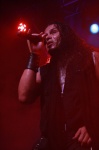 Gallery image 50