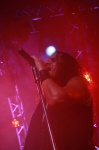 Gallery image 38