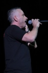 Gallery image 11