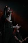 Gallery image 49