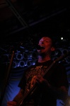 Gallery image 50