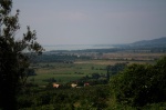 Gallery image 36