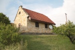 Gallery image 55