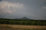 Gallery image 21