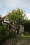 Gallery image 56