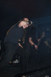 Gallery image 78