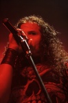 Gallery image 30