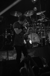 Gallery image 24