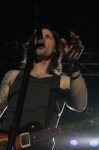 Gallery image 10