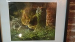 Gallery image 18