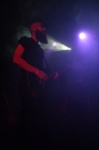 Gallery image 31