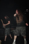Gallery image 68