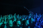 Gallery image 53