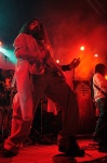 Gallery image 35