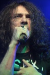 Gallery image 30