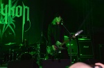 Gallery image 21