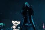 Gallery image 30